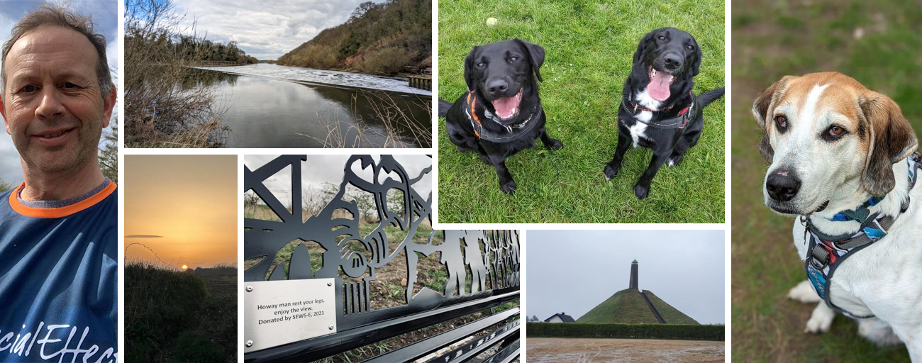Six images of countryside views, dogs, and man in SpecialEffect shirt